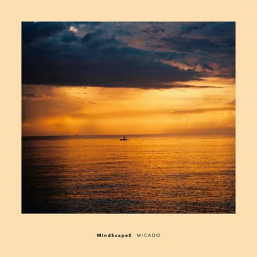 MindScapeS