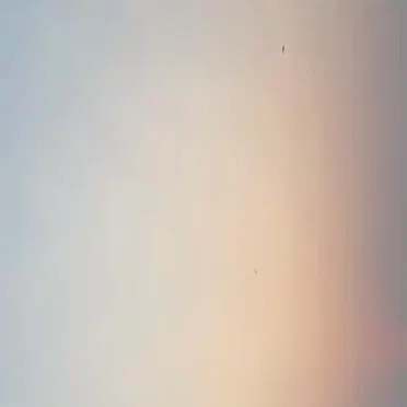 Aesthetic Paradox