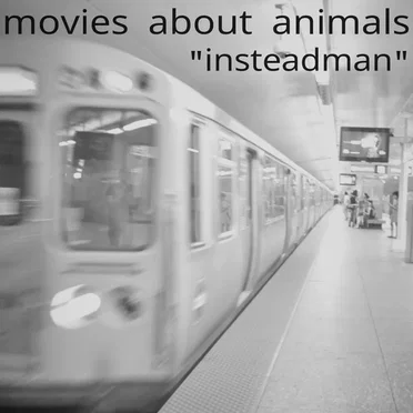 Insteadman