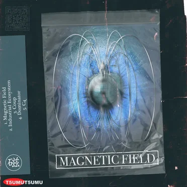 Magnetic Field by T5UMUT5UMU - album cover