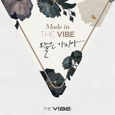 오늘은 가지마 (Made in the VIBE)