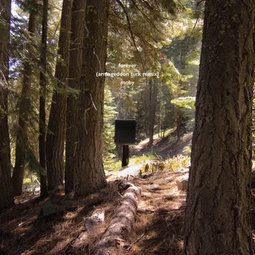Forever (Armageddon Turk remix)