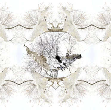 Stolen Silver by Stolen Silver - album cover