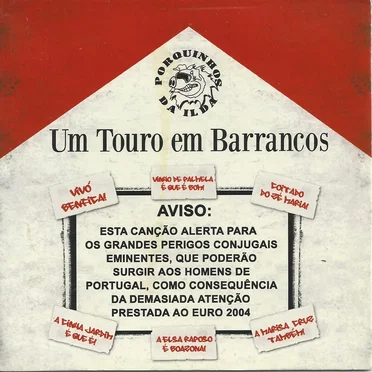 Um touro em barrancos