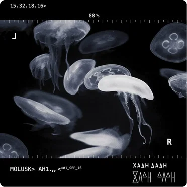 Mollusk Ah1 by Хадн дадн - album cover