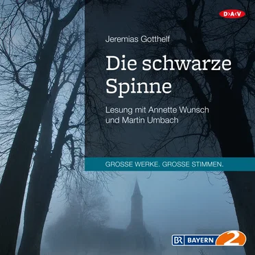 Die schwarze Spinne by Jeremias Gotthelf - album cover