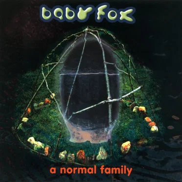 A Normal Family by Baby Fox - album cover