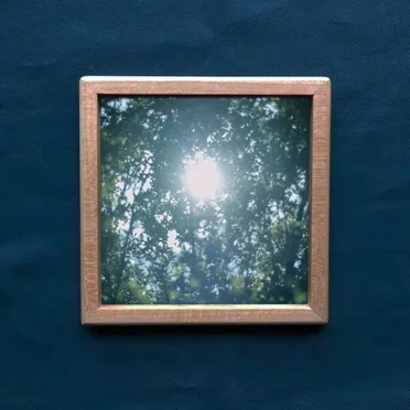 Ironomi