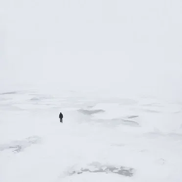Polar by Thylacine - album cover