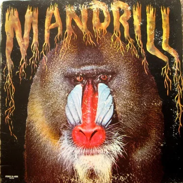 Mandrill by Mandrill - album cover