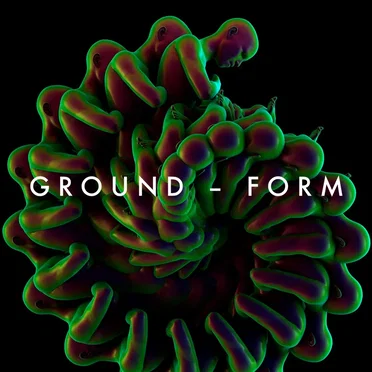 Form