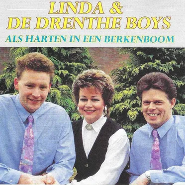 Als harten in een berkenboom by Linda & de Drenthe Boys - album cover