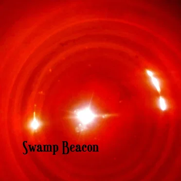 Somewhere in South Georgia by Swamp Beacon - album cover