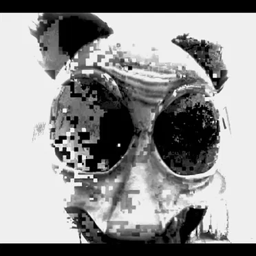 Fr̢e̡̧͏ɘ ̡͝D͢o̰̿̿̿̿̿̿̿̿̿̿̿̿̿̿̿̿̿̿̿wn҉̕ɭoᴧds҉̍̍̍̍̍̍̍̍̍̍̍̍̏̍██░░░░░░̮̮̮̮̮̮̯̯̭̮̮̮̮̮░░░̿̿̿̿̿̿░░░░░░
