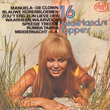 16 Nederlandse toppers by Various Artists - album cover