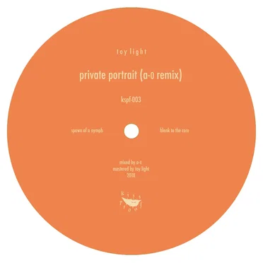Private Portrait (A-0 remix) by Toy Light - album cover