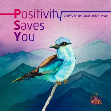 (P)ositivity (S)aves (Y)ou by Various Artists - album cover