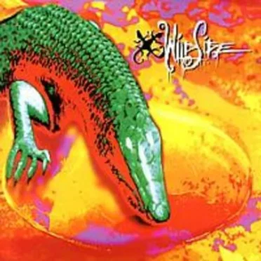 Wildside by WildSide - album cover