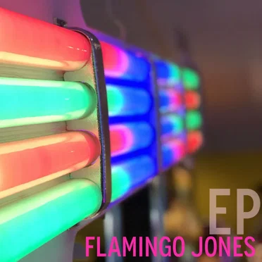 Flamingo Jones EP by Flamingo Jones - album cover