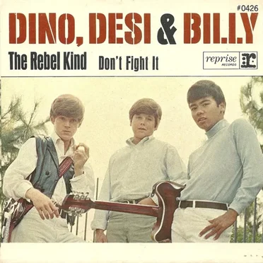 Please Don't Fight It / The Rebel Kind