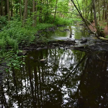 Gudsbergasjön