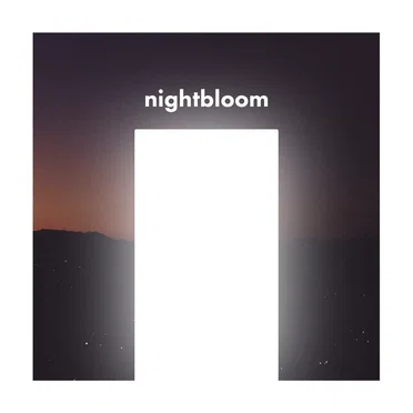astrosity by nightbloom - album cover
