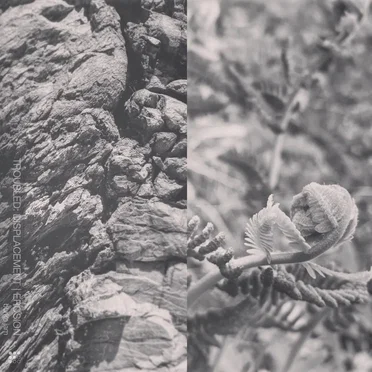 Trouble: Displacement | Erosion