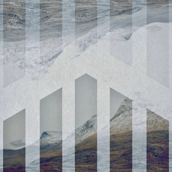 Vanishing Tundra