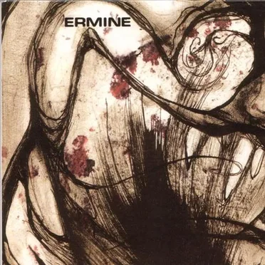 Maps of the Rise and Fall by Ermine - album cover