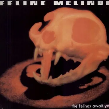 The Felines Await You by Feline Melinda - album cover
