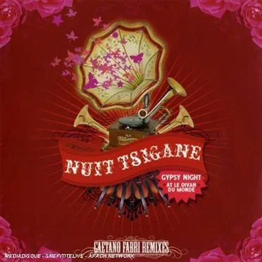 Nuit Tsigane: Gypsy Night at le Divan du Monde by Various Artists - album cover