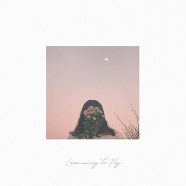 Learning to Fly