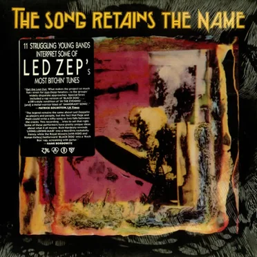 The Song Retains the Name by Various Artists - album cover
