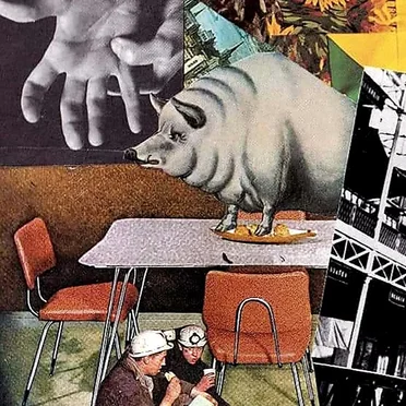 Live from the kitchen table by MSGG - album cover