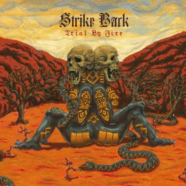 Trial By Fire by Strike Back - album cover