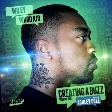 Creating a Buzz, Volume One by Wiley - album cover