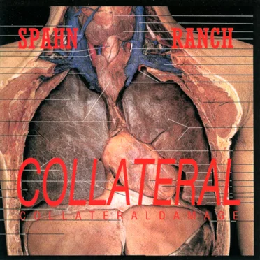 Collateral Damage
