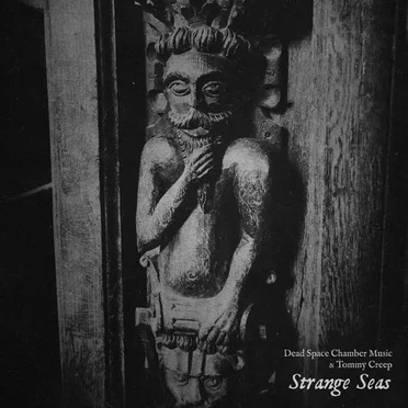 Strange Seas by Dead Space Chamber Music - album cover