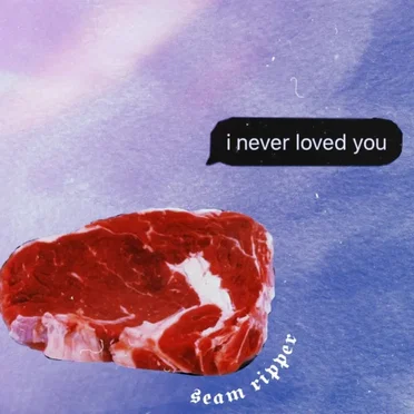 i never loved you