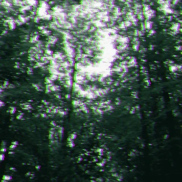 RGB Forest by catherine - album cover