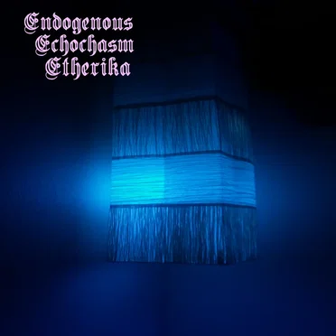 Endogenous Echochasm Etherika by M¥rrĦ Ka Ba - album cover