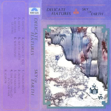 Sky of Earth by Delicate Features - album cover