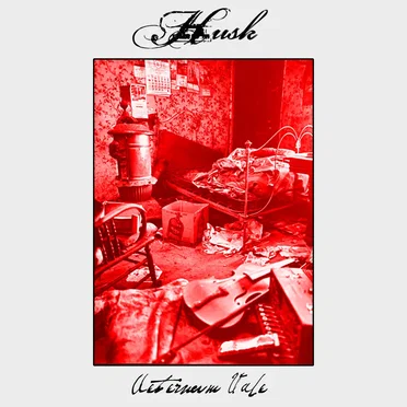 Aeturnum Vale by Husk - album cover