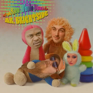 Mr. Brightside by The New Whole Usuals - album cover