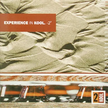 Experience in Kool. -2º by Various Artists - album cover
