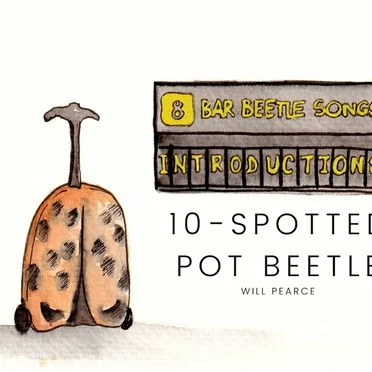 8‐Bar Beetle Songs II: Introductions