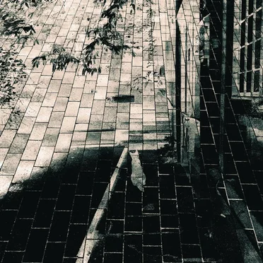 Yerlerde by Son Feci Bisiklet - album cover