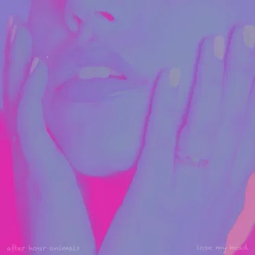 Lose My Head by After Hour Animals - album cover