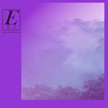 E95 2k15 Sampler by Various Artists - album cover