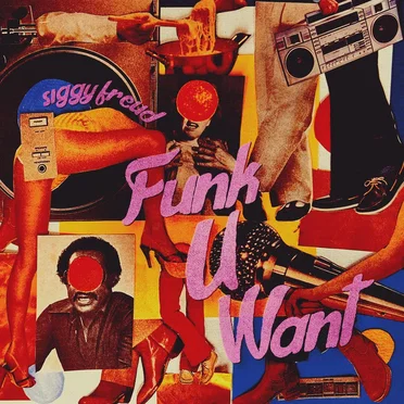 Funk U Want by Siggy Freud - album cover